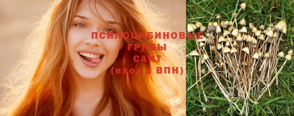 МДПВ Киреевск